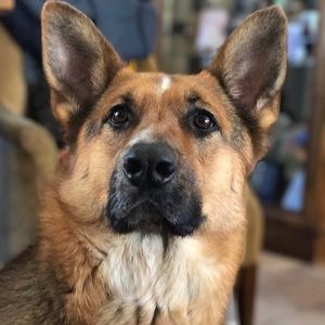 Meet your Posher, Vicky